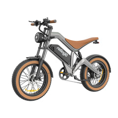 Reliago1000W Fat Tire Electric Bike with 48V Battery - M20 Long Range Ebike|EU Warehouse
