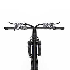 Reliago C29 Electric Bicycle Mountain Dirt E Bike Bicicleta Electrica Para Adultos Rower Elektryczny Velo Electrique