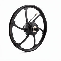 Reliago 20 Inch 36V 350W E-Bike Hub Motor Integrated Wheel Replacement Compatible with HITWAY BK6