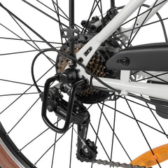 Reliago C6 26" Commuter Electric Bike 350W Motor Long Range Battery E-Bike|EU Warehouse