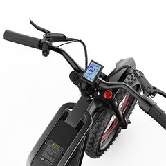 Reliago 60V E-Bike LCD Display with NFC Color Screen for Freego X2Pro Electric Bike