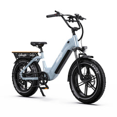 Reliago OT08 20 Inch Fat Tire Electric Bike 48V 500W Motor 18Ah Battery 7-Speed E-Bike