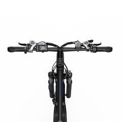Reliago C29 K Dual Battery Electric Bike for Adults, 48V 37.5Ah Long Range E-Bike, 750W Motor, Hydraulic Disc Brakes, 29" Electric Mountain Bike, Up to 170KM Range