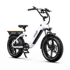 Reliago OT08 20 Inch Fat Tire Electric Bike 48V 500W Motor 18Ah Battery 7-Speed E-Bike